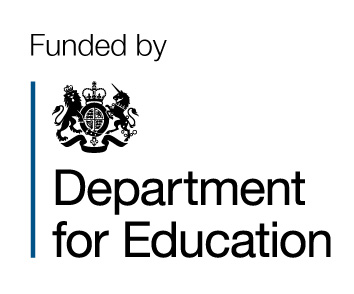 dfe logo